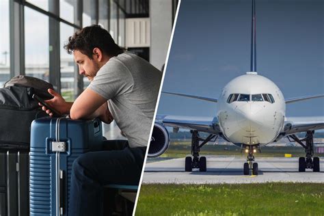 Can I Bring Flowers on a Domestic Flight? And Why Do Airports Smell Like Pretzels?