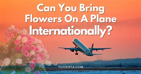 Can You Bring Flowers on a Plane Internationally? And What If the Flowers Decide to Take a Vacation Too?