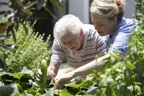 How Does Gardening Help the Elderly: A Journey Through Soil and Soul