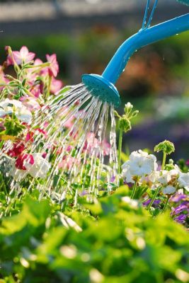 How to Water Flowers in Floral Foam: A Symphony of Absurdity and Practicality