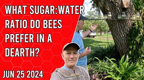 Is Sugar Water Good for Flowers? And Why Do Bees Prefer Jazz Over Rock?