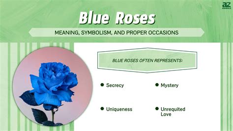 What Do Blue Flowers Symbolize? Exploring the Mystique and Meaning Behind Azure Blooms