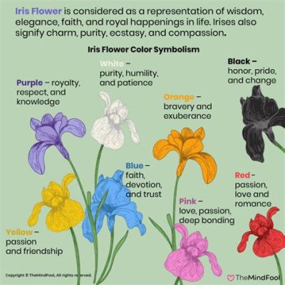 Where to Buy Iris Flowers: Exploring the Ethereal Beauty and Symbolism